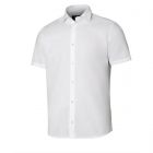 VELILLA | Camisa manga corta hombre blanco - Talla XL