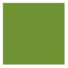 DUNI | Servilleta Bio Dunisoft® verde - 20 x 20 cm