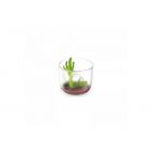 Vaso PS redondo transparente - 6 cl