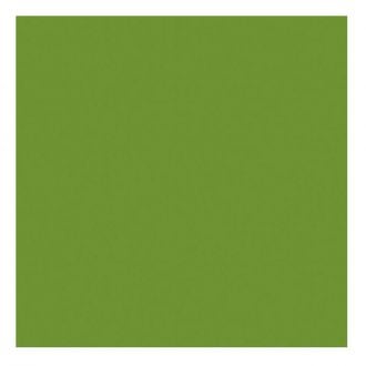 DUNI | Servilleta Bio Dunisoft® verde - 20 x 20 cm