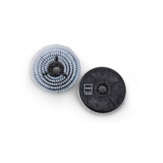 Dos cepillos disco estándar blanco y negro