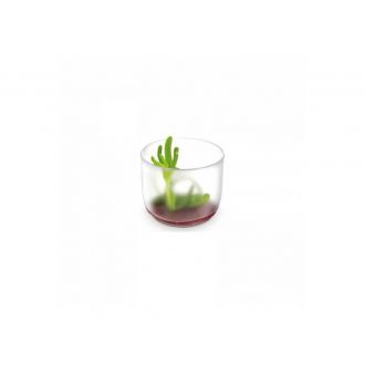 Vaso PS redondo transparente - 6 cl